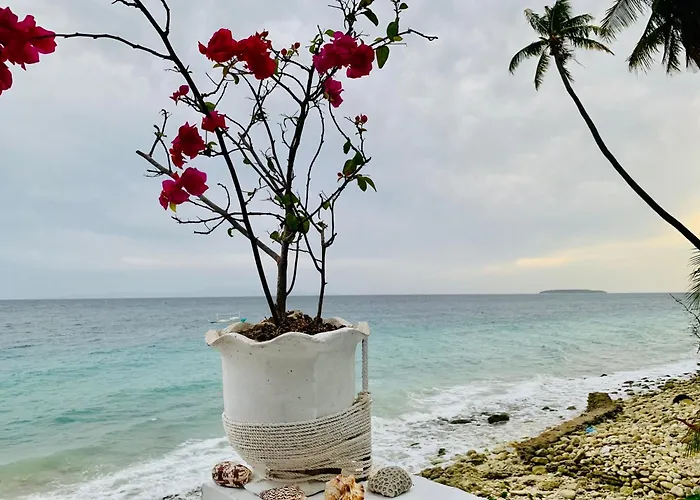 Samanthas Cove Private House Oslob Cebu Locals Call It The White House * Luka