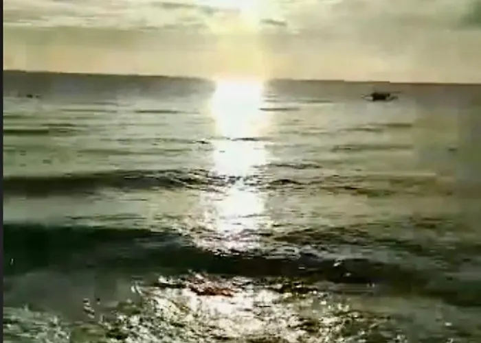 Samanthas Cove Private House Oslob Cebu Locals Call It The White House Vakantiehuis